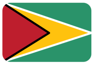 Envíos desde la Zona Libre de Colón en Panamá hasta Guyana